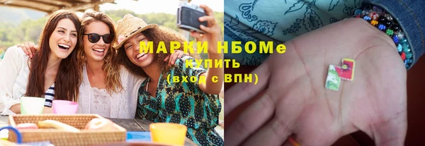 стаф Аркадак