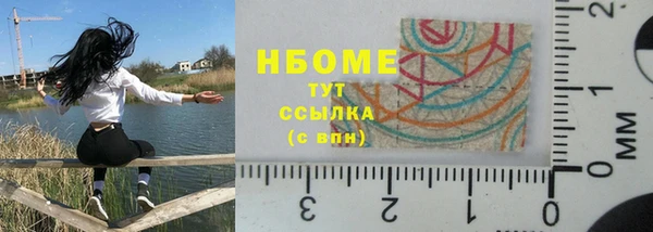 стаф Аркадак