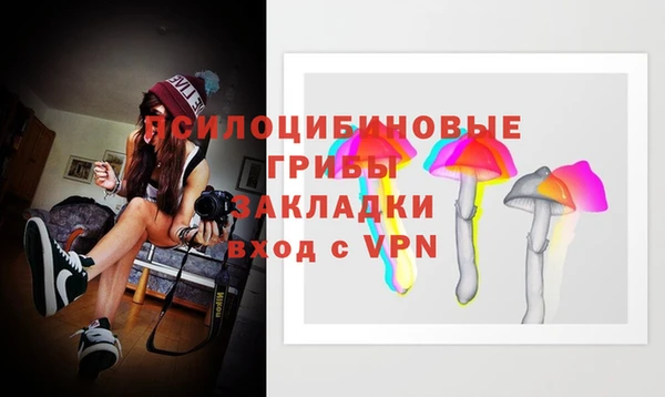 индика Армянск
