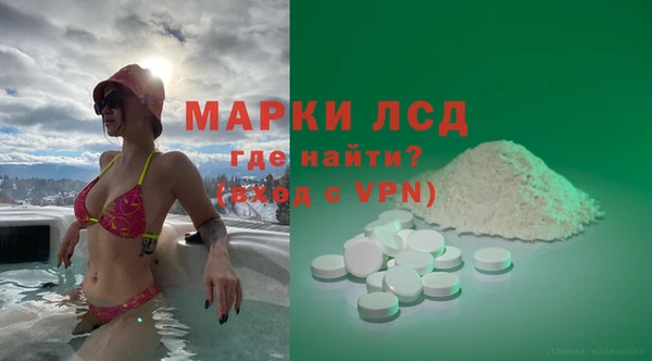 стаф Аркадак