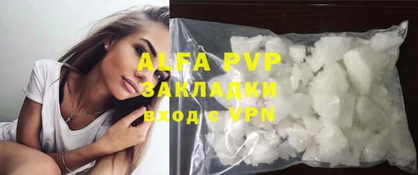 стаф Аркадак