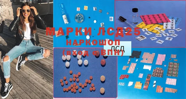 индика Армянск