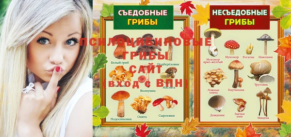 индика Армянск