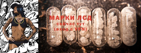 стаф Аркадак