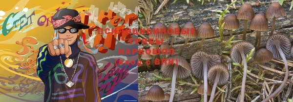 индика Армянск