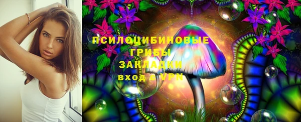 стаф Аркадак