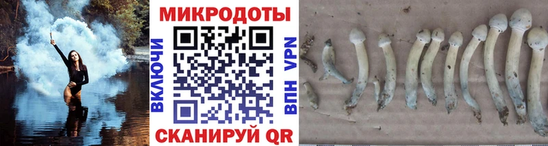 купить наркотик  Сальск  Псилоцибиновые грибы мухоморы 