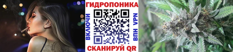 закладка  Сальск  площадка формула  Бошки Шишки ГИДРОПОН 